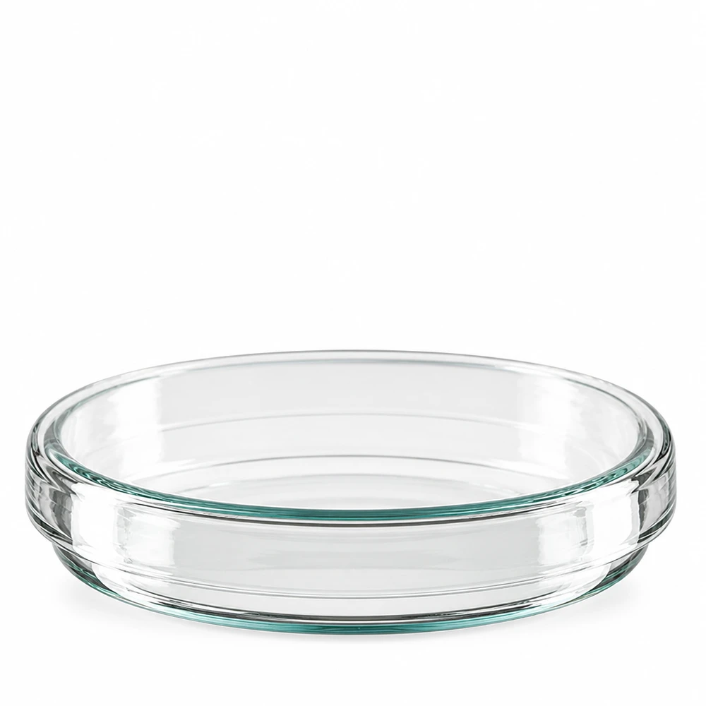 Glaspetrischale 80mm mit leicht grünlichem Glastönung und glattem Innenbereich