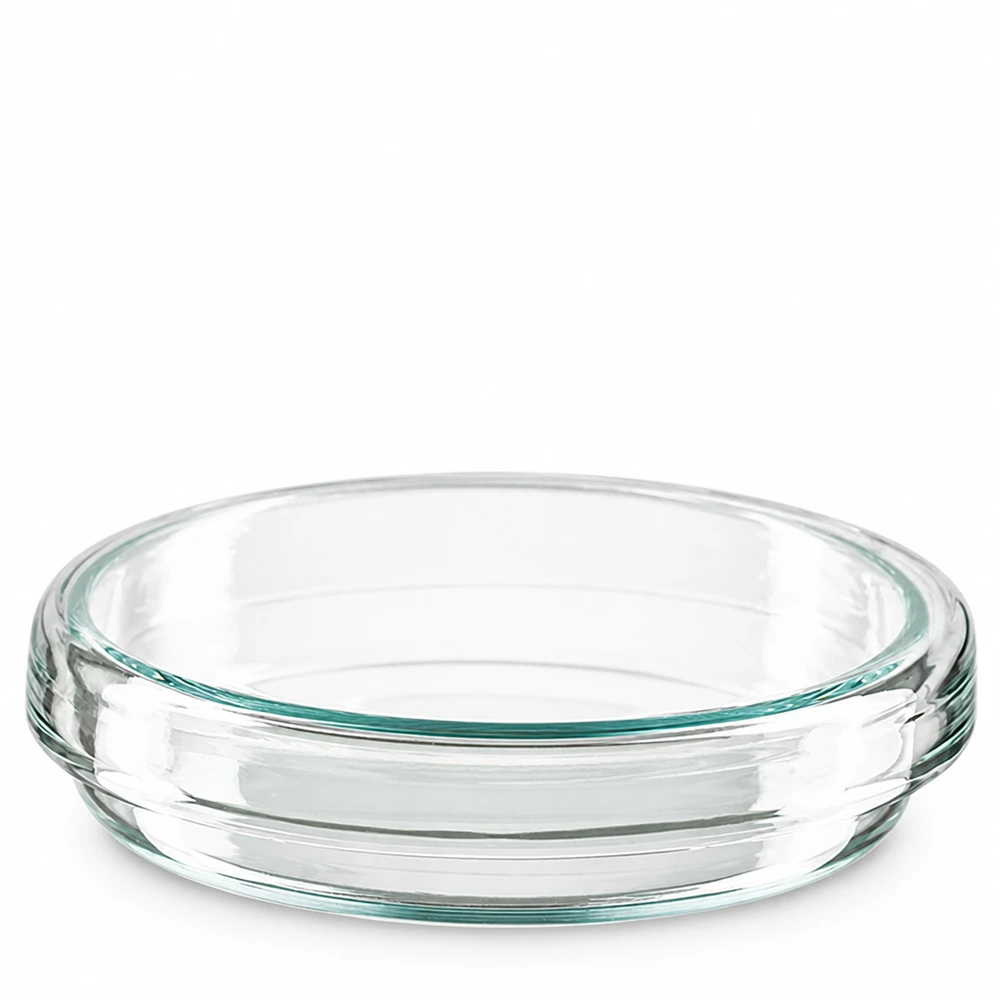 Kleine Glaspetrischale 70x15mm mit glattem Innenrand für präzise Laboranwendungen