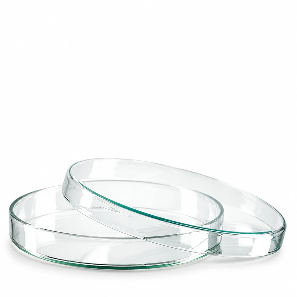 Petrischale Glas 120x20mm stapelbar transparent für Bakterienkulturen und Forschung