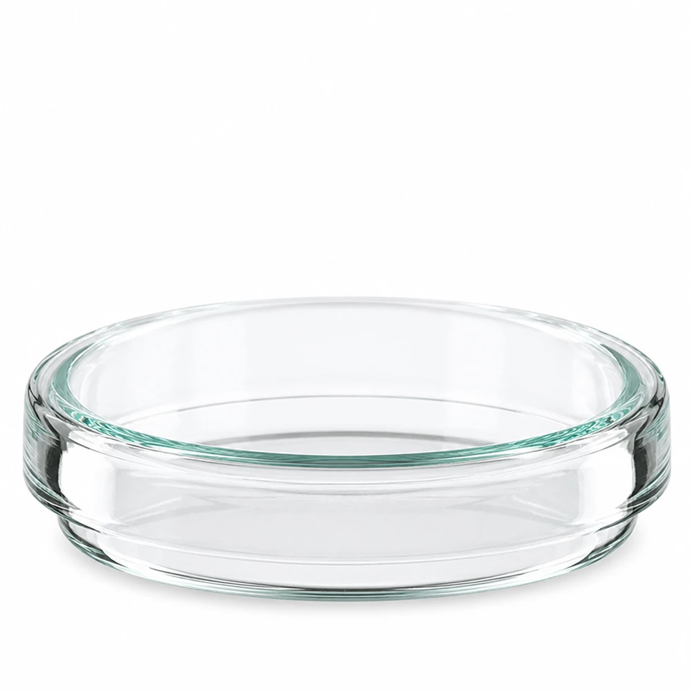 Petriho miska o průměru 60 mm z čirého laboratorního skla pro kultivaci mikroorganismů a buněčných kultur. Výška 15 mm Petrischale Glas 60mm mit grünlichem Glaston niedrige Bauform 15mm auf weißem Grund