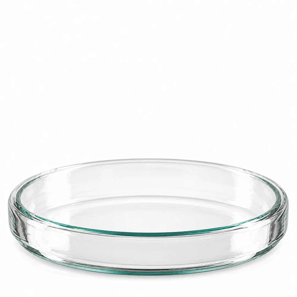 Mikrobiologie Petrischale aus Glas 90mm für Labor und Wissenschaft Seitenansicht
