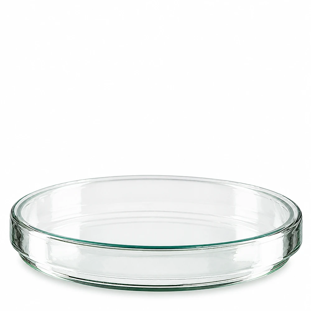 Petriho miska 120x20 mm skleněná Flache zylindrische Glasschale 120mm Durchmesser 20mm Höhe für Labor und Forschung
