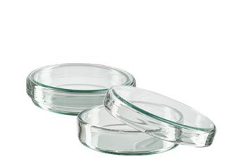 Petriho misky (skleněné)